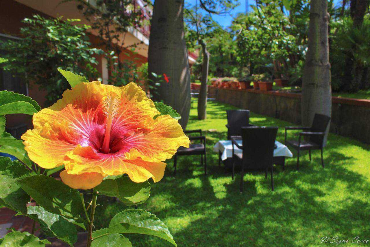 טאורמינה Il Signo Cocco Mare Apartment מראה חיצוני תמונה